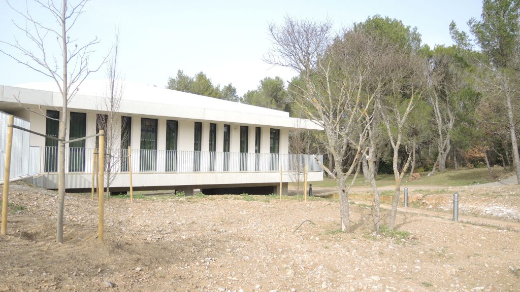 gsgreasque-dscn2535